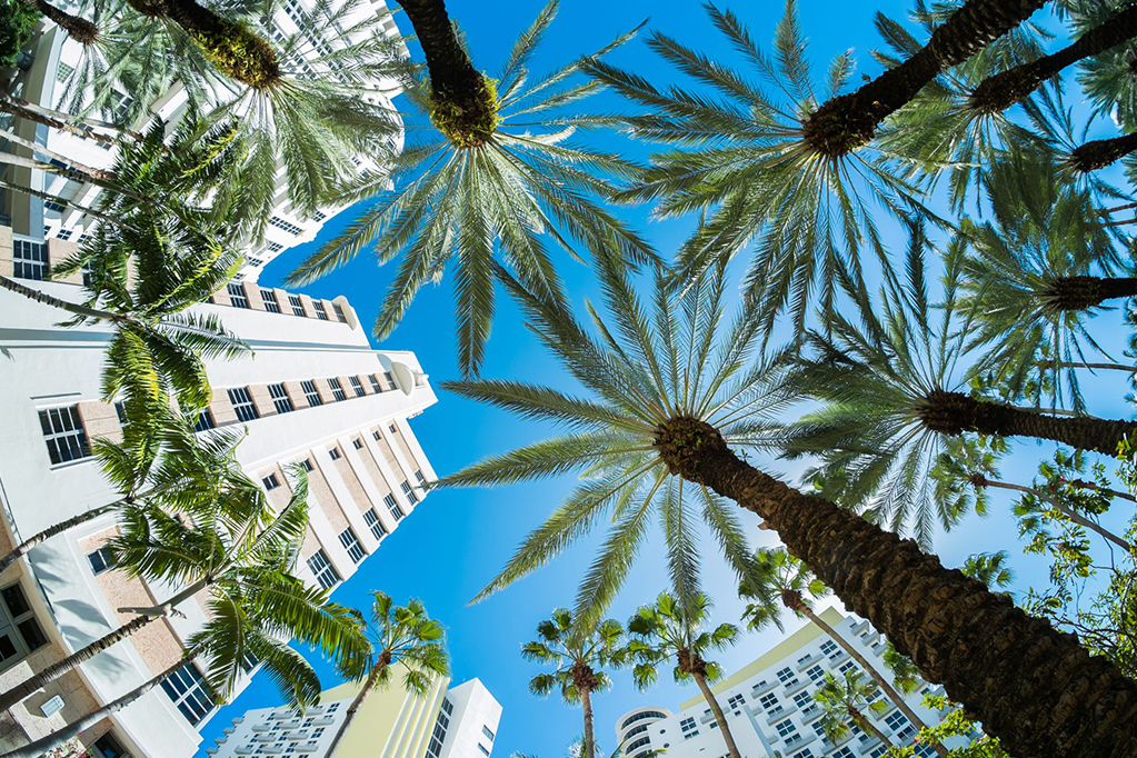 Beautiful Miami Beach fish eye cityscape with palm trees and art deco architecture